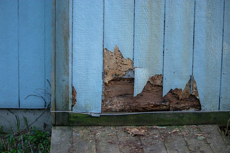 Emergency Siding Repairs
